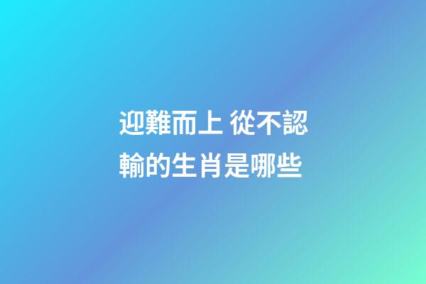 迎難而上 從不認輸的生肖是哪些
